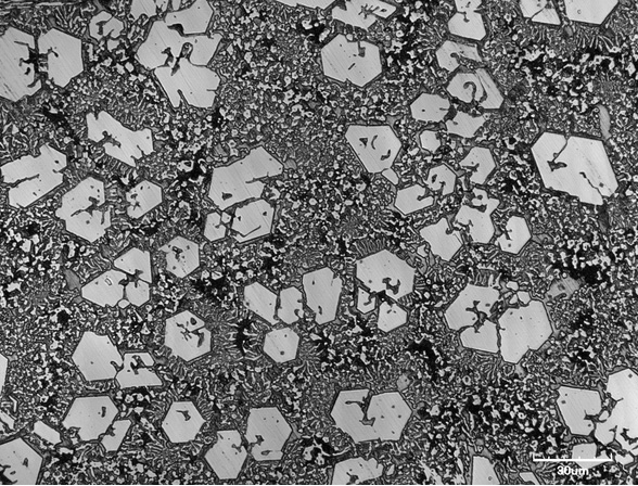 ̼���t����